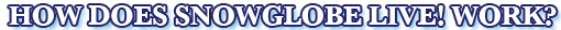 How does Snowglobe Live Work
